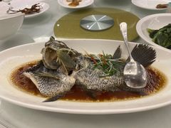 -骏莱海鲜鱼港(五角场店)