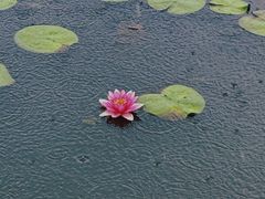 -昆山城市生态森林公园