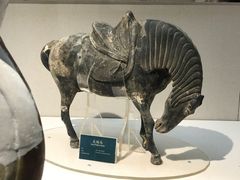 -宁夏博物馆