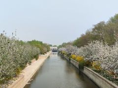 -海棠花溪(元大都城垣遗址公园)
