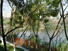 -重庆彩云湖湿地公园