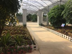 -广东花都香草世界旅游度假区