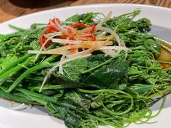 -鸽子窝(青塔店)
