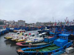 -枸杞岛