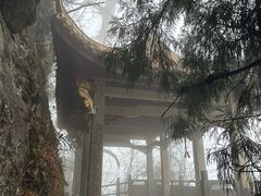 -天目山大树王景区