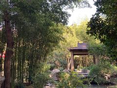 -汇龙潭