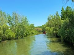 -溱湖国家湿地公园