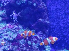 -成都浩海立方海洋公园