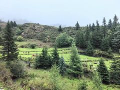 -芦芽山旅游度假区