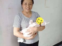 -田螺阿姨自营月嫂·育儿嫂(高新店)