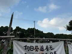 -阳澄湖半岛旅游度假区