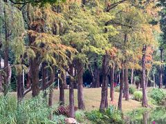 -人民公园(罗湖区)