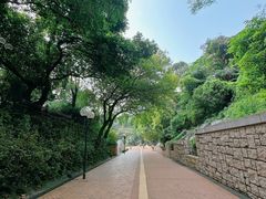 -九龙公园