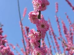 -静安雕塑公园