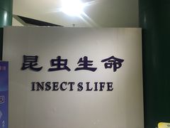 -上海昆虫博物馆