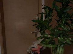 -逸栈养生SPA(望京店)