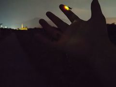 -西涌国际滨海旅游区