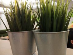 -佰搭果·广式茶餐厅(西华路店)