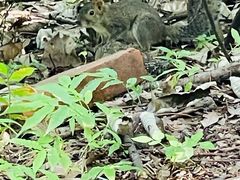 -昆明市金殿名胜区