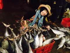 -尼甘布海鲜市场