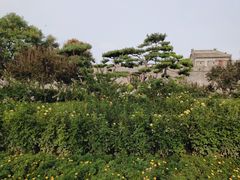 -卢沟桥文化旅游区