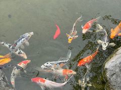 -江宁织造博物馆