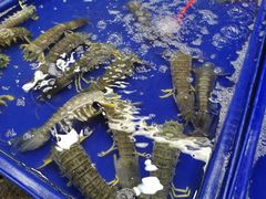 -芭提雅海鲜市场