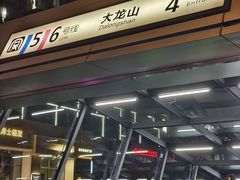 -大龙山(地铁站)