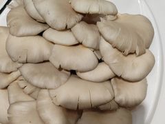 -草原传奇鲜羊火锅(桥北店)