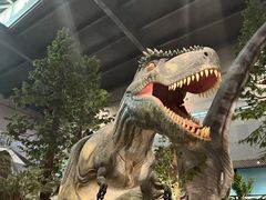 -湖南省地质博物馆