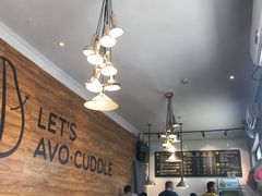 -油梨树AVOCADO TREE(顺义新国展店)