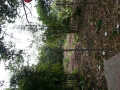 android_upload_pic-顺风山庄(水濂山店)