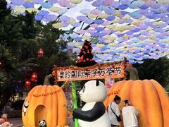 -灵玲国际马戏城