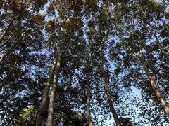 -紫金山索道-售票处