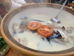千岛湖浓汤鱼头-全乐鱼馆·淳牌有机鱼直营店