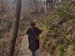 -青龙山国家森林公园