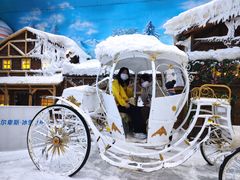 -世界之窗阿尔卑斯冰雪世界