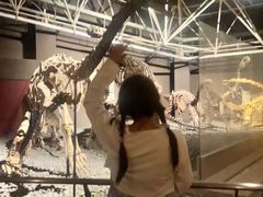 -世界恐龙谷景区