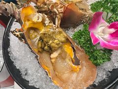 -海月轩海鲜豆捞(紫金塔店)