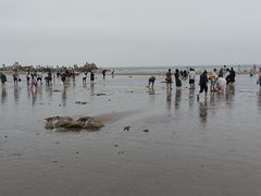 -老虎石海上公园