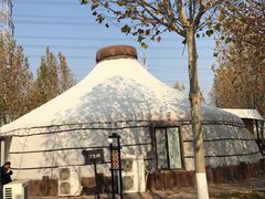 -九十九顶毡房(阜石路店)