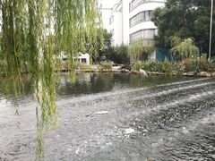 -苏州河梦清园环保主题公园