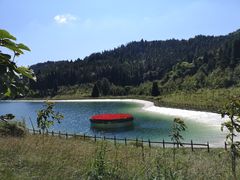 -武陵山森林公园