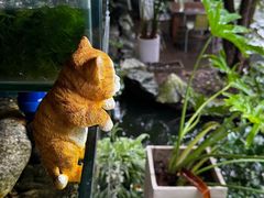 -谷咖啡·鲜花绿植花园餐厅