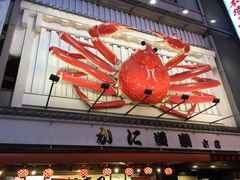 -蟹道乐(道顿堀本店)
