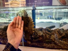 -小渔莊•地道胶东菜(旅游路万象省博物馆店)