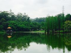 -华南国家植物园-售票处