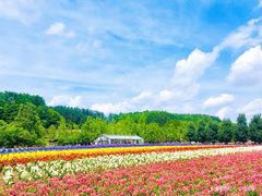 景点-富田农场