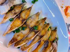 -陈鹏鹏潮汕菜(机场卫星厅·561登机口店)