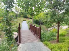 -莲花池公园